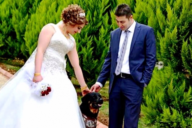 Düğününde bile yanından ayırmadığı köpeği kayboldu