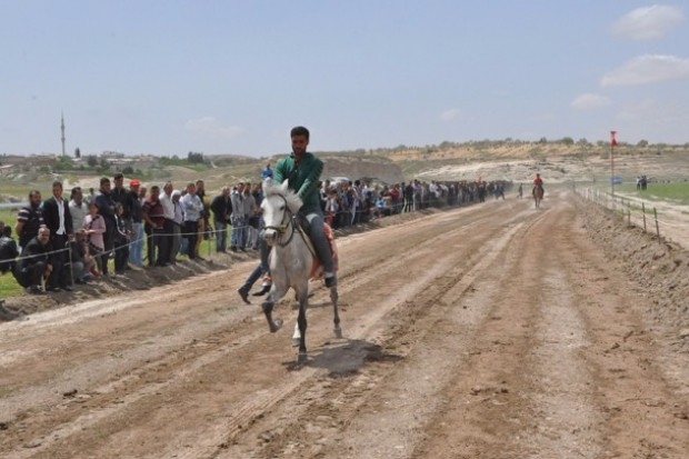Rahvan At Yarışları ilk kez Nizip'te düzenlendi