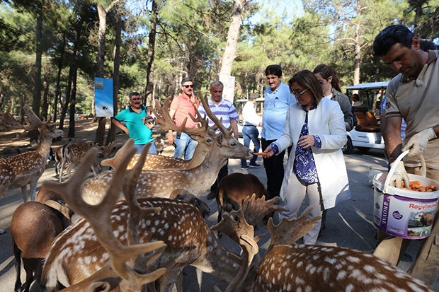 Gaziantep Hayvanat Bahçesi, doğurganlık oranıyla Avrupa birincisi