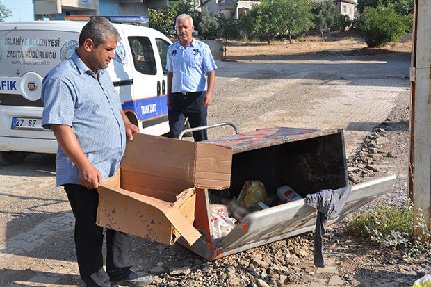 Kedileri silahla öldürüp çöp kovasına attılar