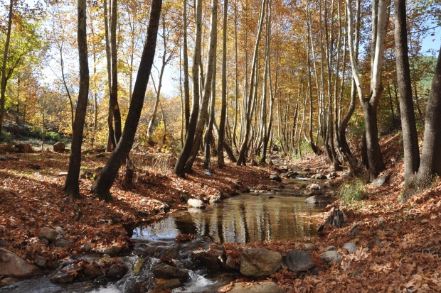 İdilli Vadisi'nde, sonbahar güzelliği