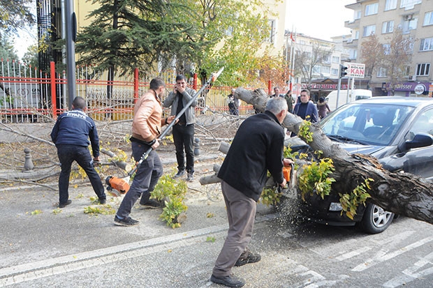 Devrilen ağaç otomobilin üzerine düştü