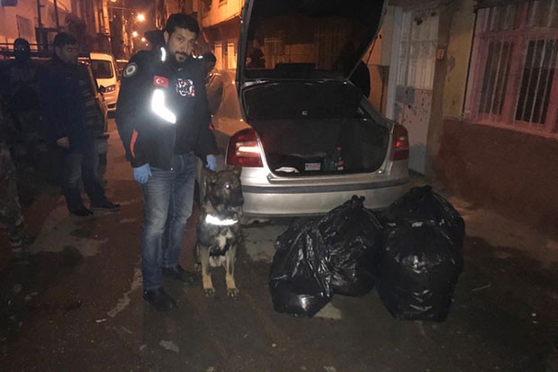 Narkotik köpeği 'Bady, uyuşturucu buldu