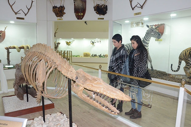 Türkiye'nin ilk Zooloji Müzesi, eğitim merkezi halini aldı
