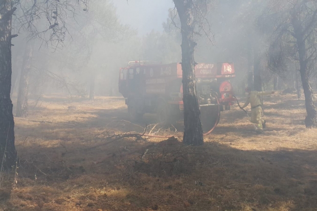 Gaziantep'te orman yangını