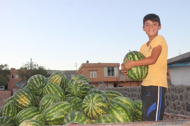 Organik tarım tavsiyesi