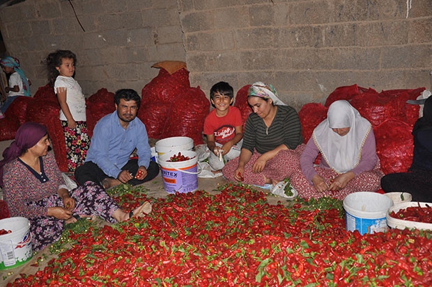 'Acı'dan para kazanıyorlar