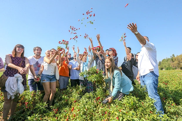 Gastronomi Festivali biber hasadı ile başladı