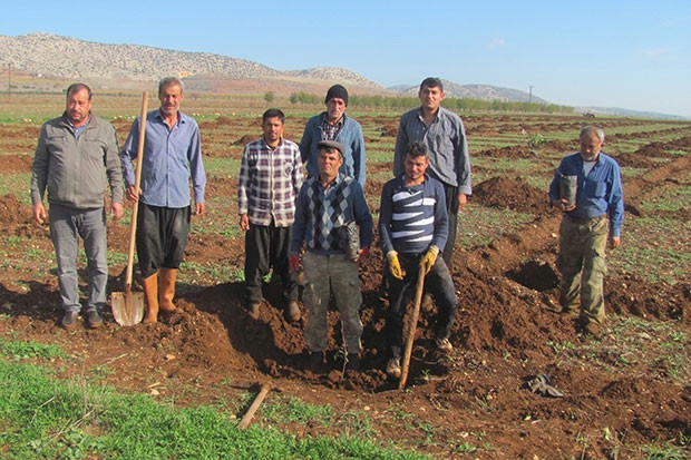 Arabanlı çiftçiler Antepfıstığı üretimine yöneldi