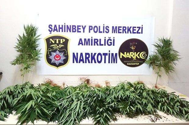 Polis uyuşturucu tacirlerine göz açtırmıyor