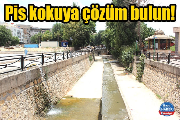 Pis kokuya çözüm bulun!