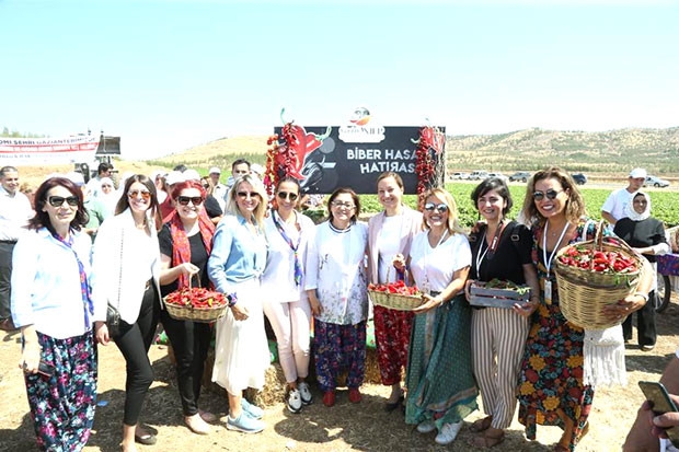 Fatma bacı şalvarı giydi tarlada biber topladı