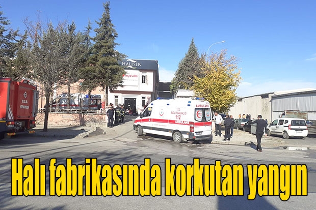 Halı fabrikasında korkutan yangın