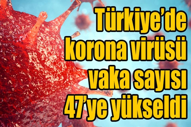 Türkiye’de korona virüsü vaka sayısı 47’ye yükseldi