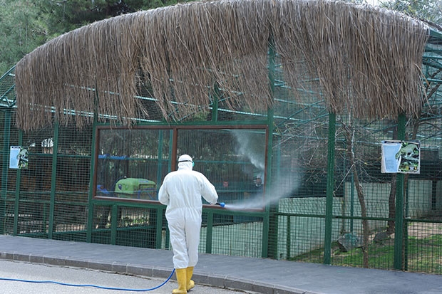 Gaziantep Hayvanat Bahçesi'nde tedbirler arttırıldı