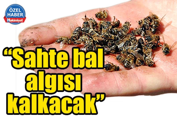 “Sahte bal algısı kalkacak”