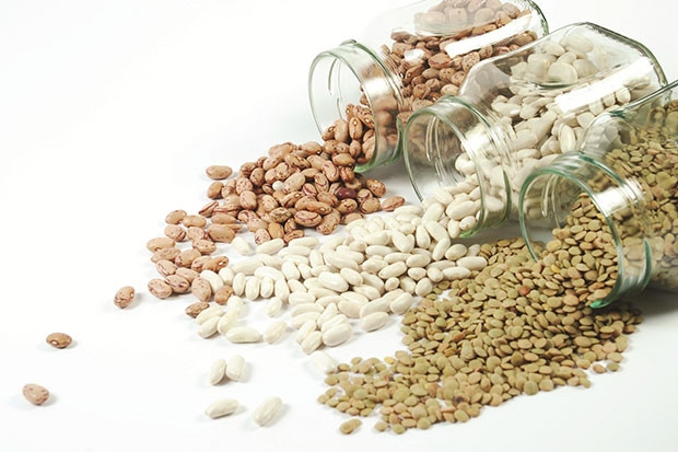 Hububat Bakliyat Yağlı Tohumlar Sektörü ihracatında artış