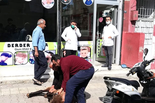 Berberler adak keserek iş yerlerini açtı