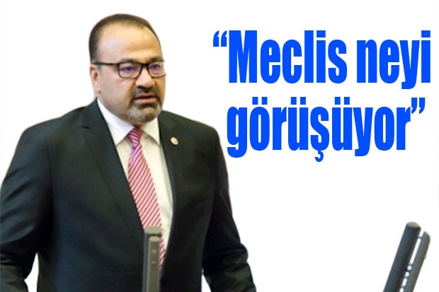 “Meclis neyi görüşüyor”