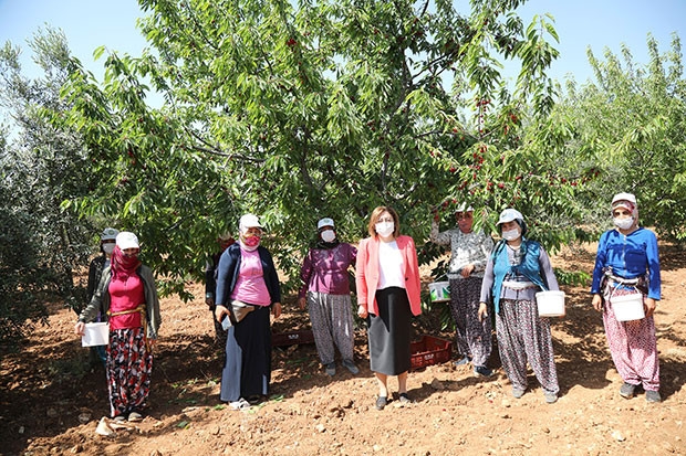 ÇİFTÇİYE VE ÜRETİCİYE 460 TON GÜBRE YARDIMI YAPILDI