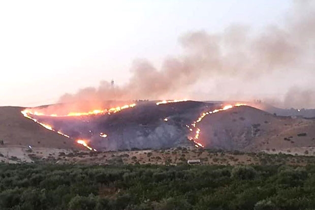 Zergil Dağı'ndaki orman yangını söndürüldü