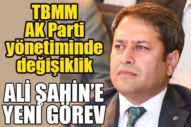 Şahin, TBMM İdari Amiri oldu