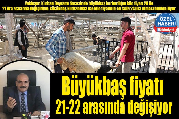 Büyükbaş fiyatı 21-22 arasında değişiyor