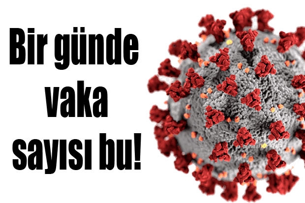 Bir günde vaka sayısı bu!