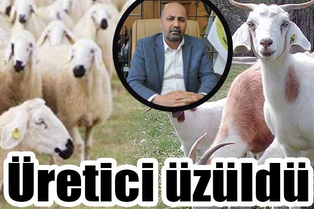 Üretici üzüldü