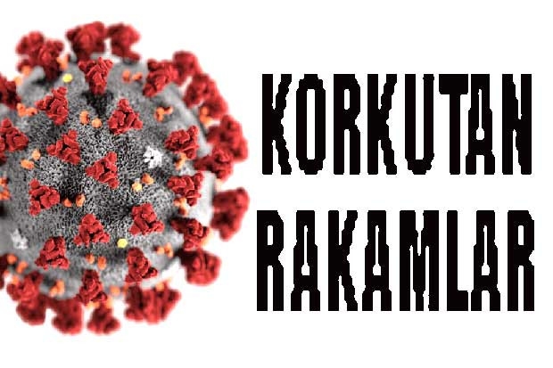 Korkutan rakamlar