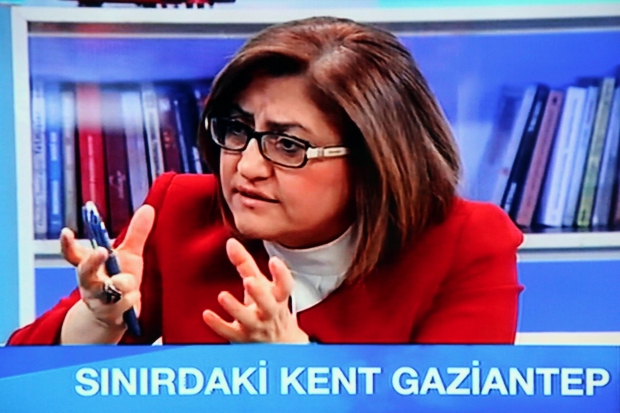 Şahin: 