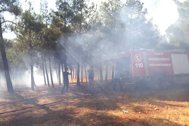 Korkutan yangın