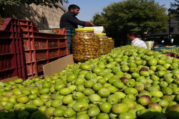 Yağmurun ardından tezgahlar zeytin doldu