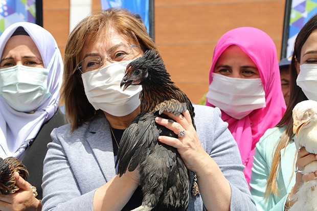 Kadın hayvan üreticilerine 70 bin tavuk dağıtıldı