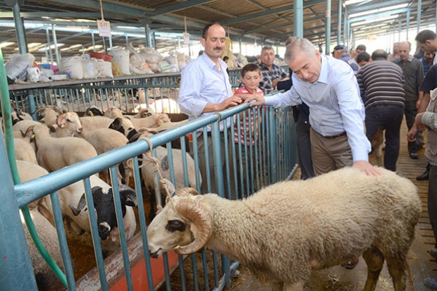 KURBAN FİYATLARI CEP YAKACAK!