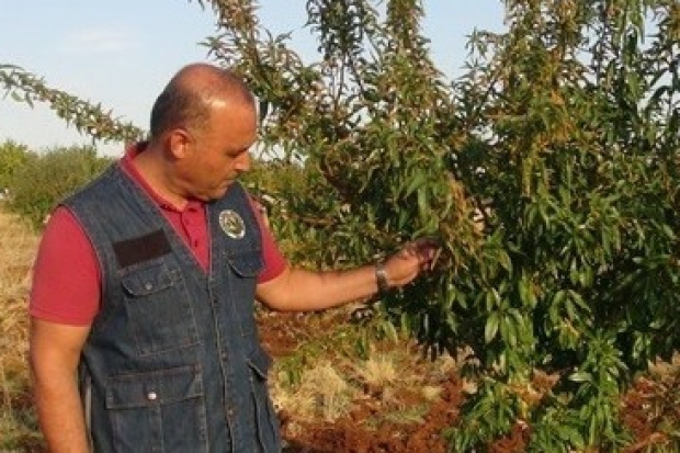 Malatya'da piknik yapanlara yangın uyarısı