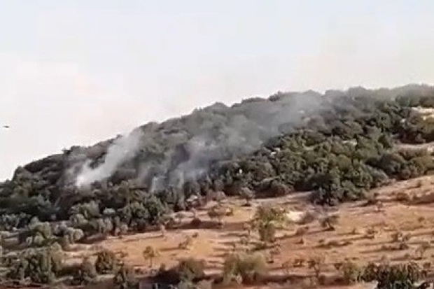 Gaziantep'te orman yangını