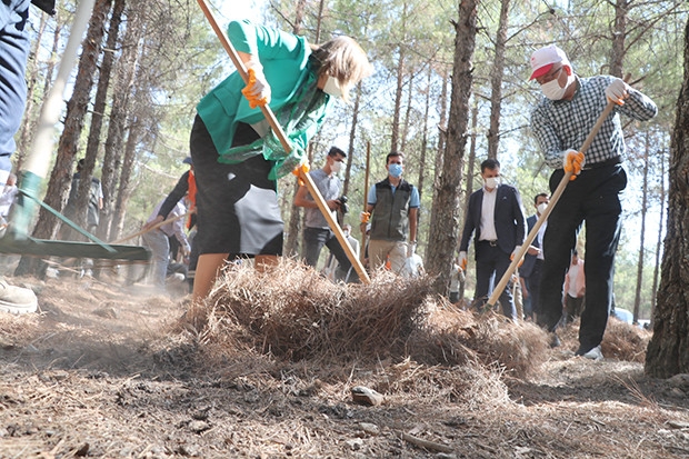 Vali ve Belediye Başkanı ormanı temizledi