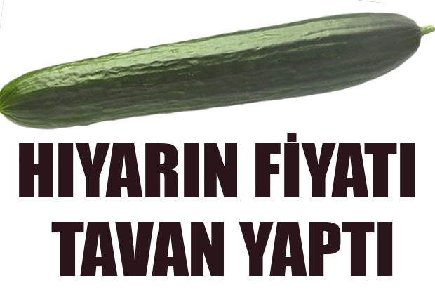 HIYARIN FİYATI TAVAN YAPTI