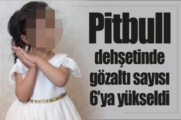 Pitbull dehşetinde gözaltı sayısı 6’ya yükseldi