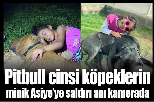 Pitbull cinsi köpeklerin minik Asiye’ye saldırı anı kamerada