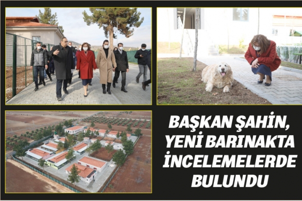 BAŞKAN ŞAHİN, YENİ BARINAKTA İNCELEMELERDE BULUNDU