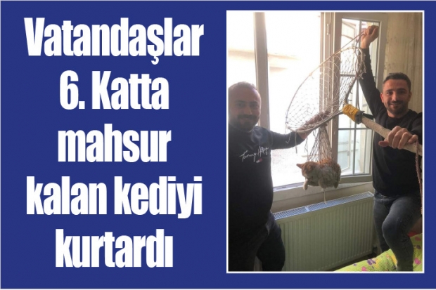 Vatandaşlar 6. Katta mahsur kalan kediyi kurtardı