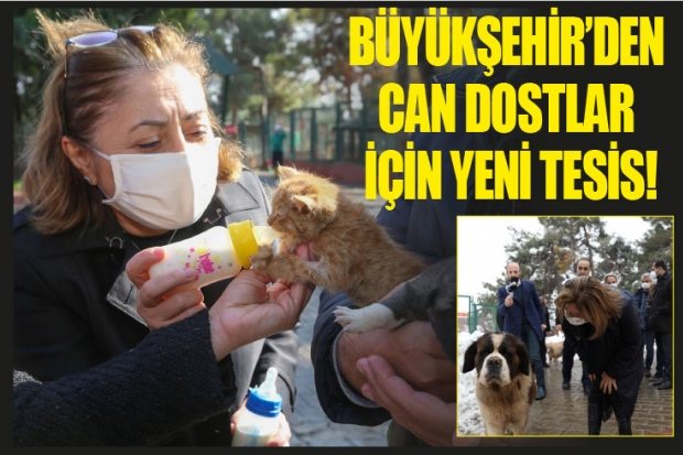 BÜYÜKŞEHİR’DEN CAN DOSTLAR İÇİN YENİ TESİS!