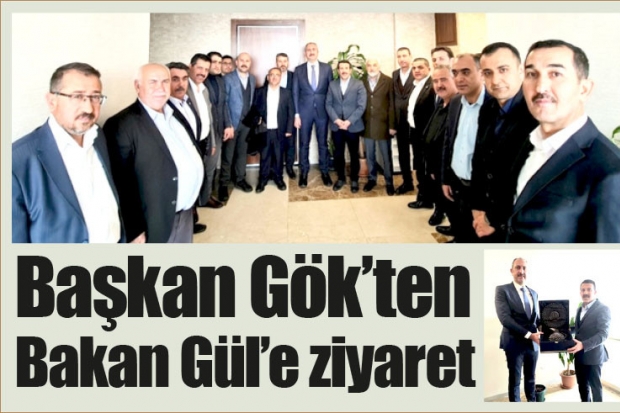 Başkan Gök’ten Bakan Gül’e ziyaret