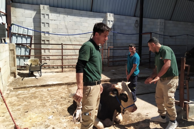 Kurban yakalam timi göreve başladı