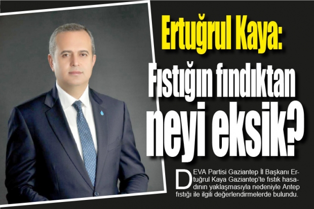 Ertuğrul Kaya: Fıstığın fındıktan neyi eksik?