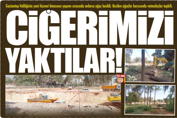 CİĞERİMİZİ YAKTILAR!