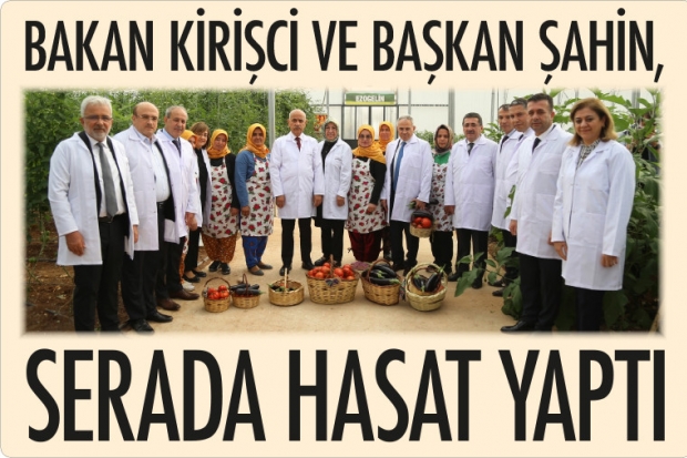 BAKAN KİRİŞCİ VE BAŞKAN ŞAHİN, SERADA HASAT YAPTI