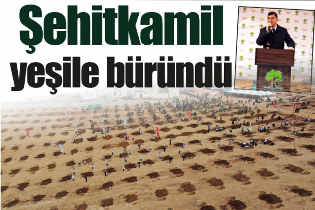 Şehitkamil yeşile büründü